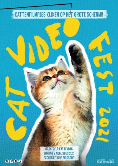 CatVideoFest 2021 (32 screens)