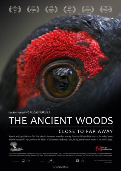 The Ancient Woods (4 screens)