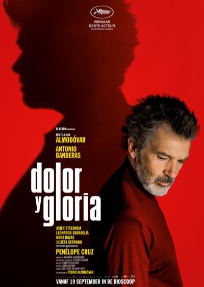 Dolor y gloria (45 screens)