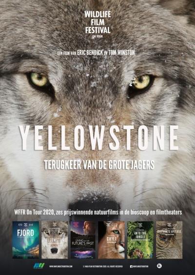 Yellowstone (11 screens)