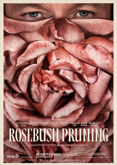 Rosebush Pruning